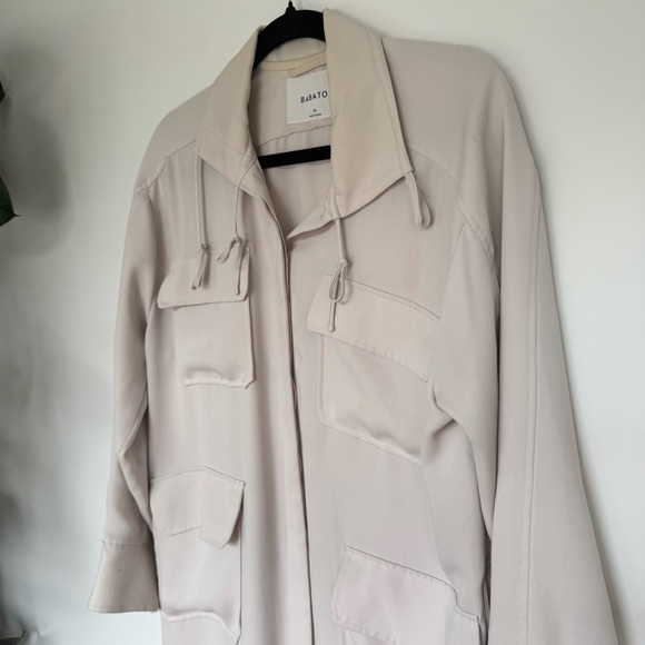 Aritzia Babaton Howitt Utility Trench Dress - Picture 3 of 7